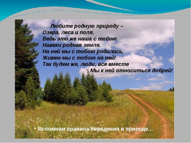Презентация на тему Берегите природу