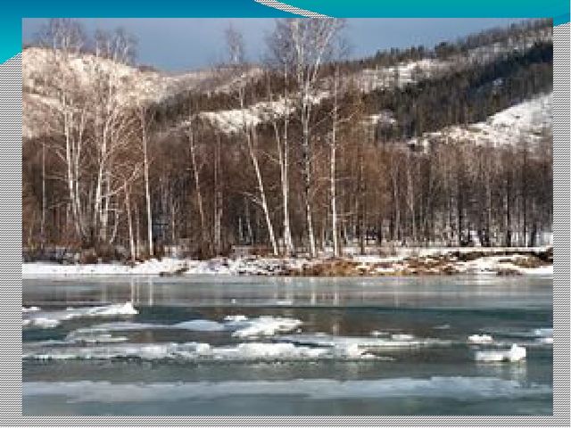 Презентация на тему Берегите природу