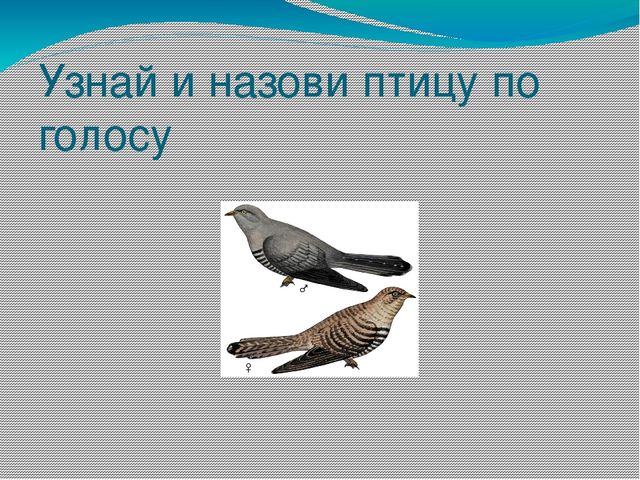 Презентация на тему Берегите природу