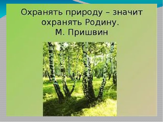 Презентация на тему Берегите природу