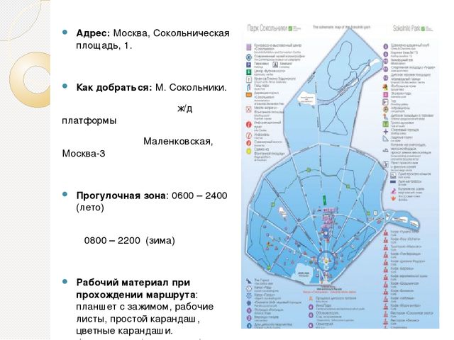 Я покажу тебе Москву. Зимний день в парке Сокольники. Практическая разработка для тематического занятия о родном городе (населенном пункте).