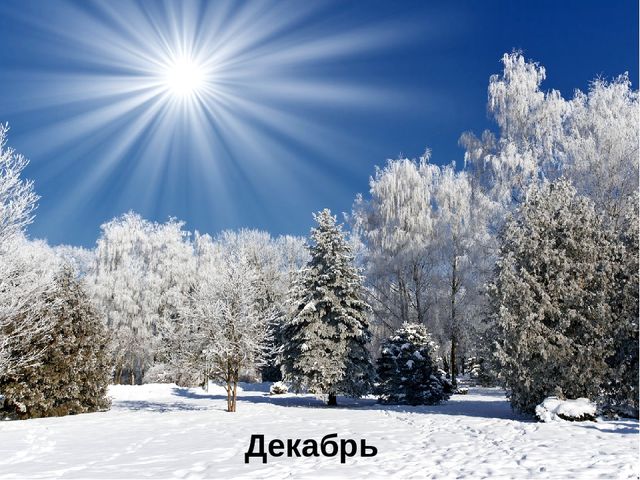 Обучающая презентация по развитию речи для детей 4-5 лет "Идёт волшебница зима"