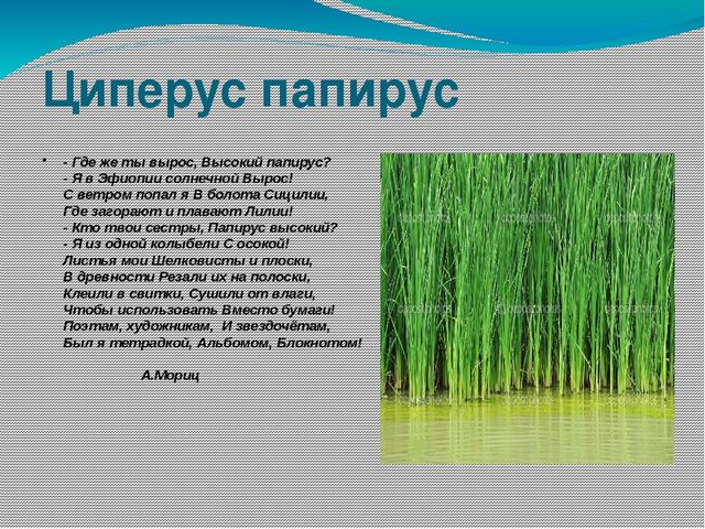 Презентация "Как создаются книги" в подготовительной группе