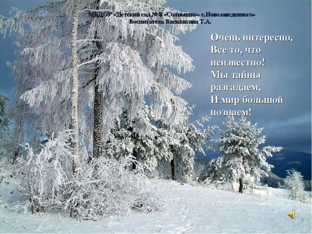 Презентация для дошкольников "Зимующие птицы"
