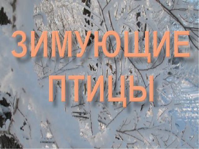 Презентация для дошкольников "Зимующие птицы"