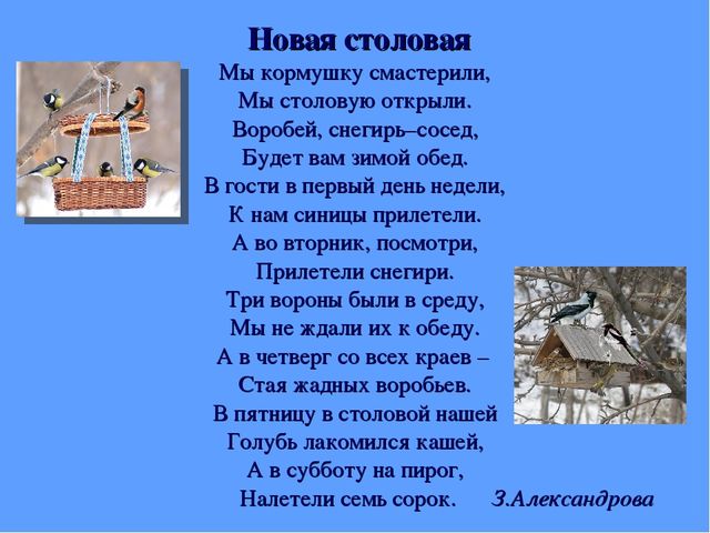 Презентация для дошкольников "Зимующие птицы"