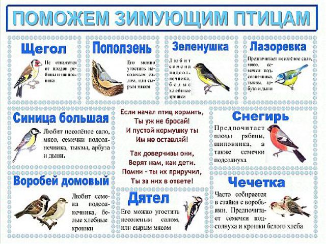 Презентация для дошкольников "Зимующие птицы"