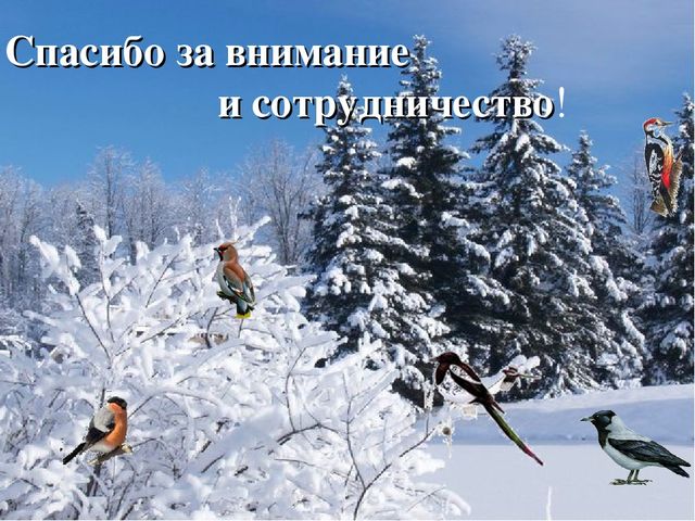 Презентация для дошкольников "Зимующие птицы"