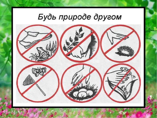 Презентация по экологии на тему "Живая и не живая природа"