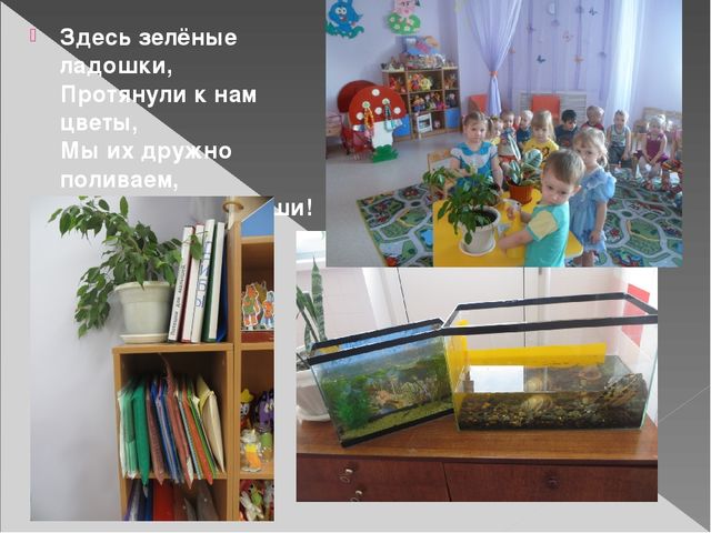 Презентация на тему "Предметно-развивающая среда группы в ДОУ"