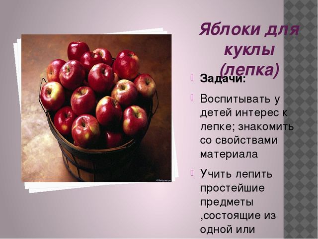 Презентация проекта "Малыши-крепыши" по охране и укреплению здоровья детей и формированию у них привычки к здоровому образу жизни.