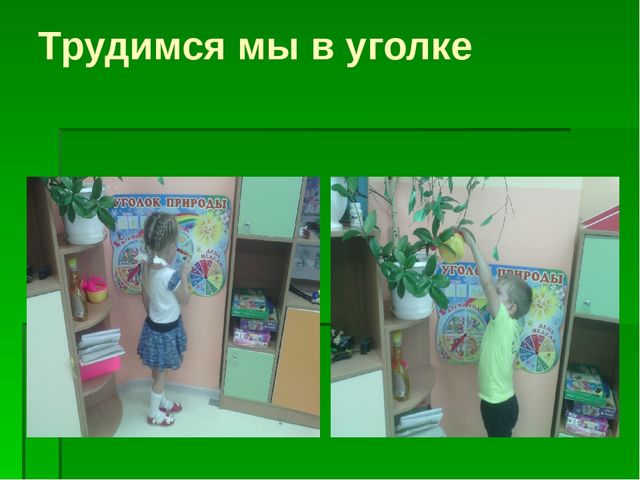 Призентация : "РАЗВИВАЮЩАЯ ПРЕДМЕТНО-ПРОСТРАНСТВЕННАЯ СРЕДА В ДОШКОЛЬНОЙ ОБРАЗОВАТЕЛЬНОЙ ОРГАНИЗАЦИИ (старшая группа)