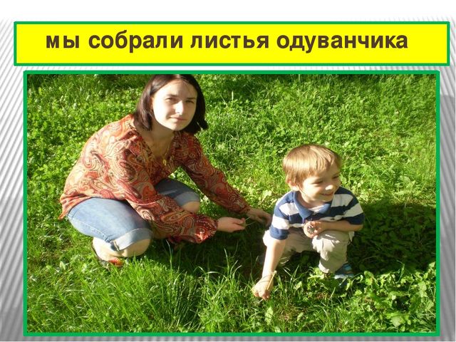 Презентация к проекту "Одуванчик"