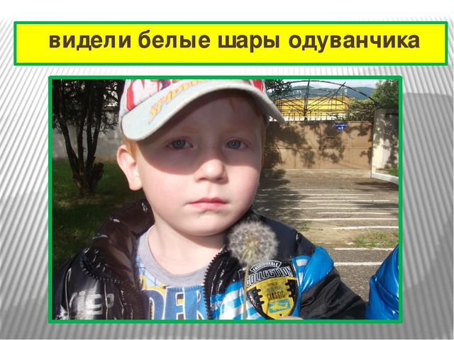 Презентация к проекту "Одуванчик"