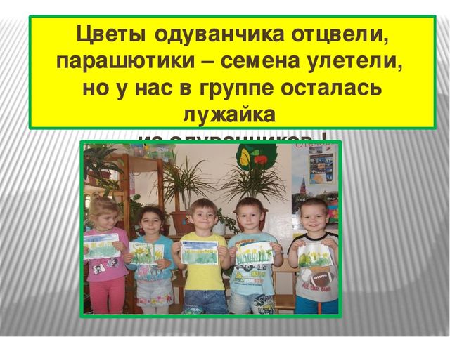 Презентация к проекту "Одуванчик"