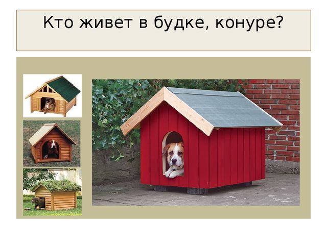 Презентация "Домашние животные" для средней группы