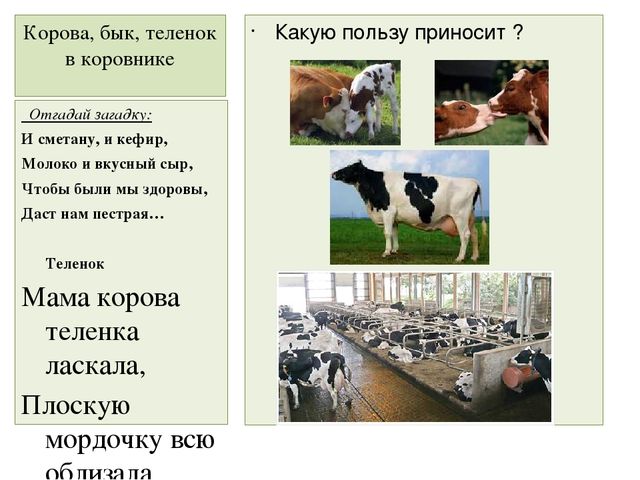 Презентация "Домашние животные" для средней группы