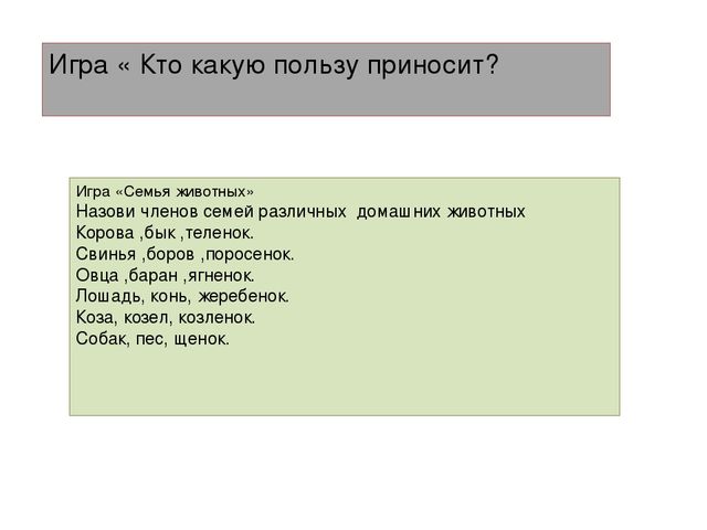Презентация "Домашние животные" для средней группы