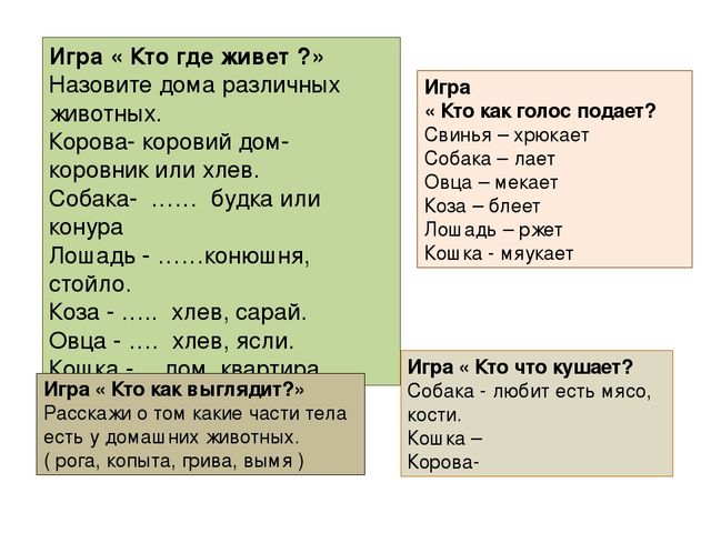 Презентация "Домашние животные" для средней группы