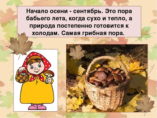 Презентация "Осень" для средней группы