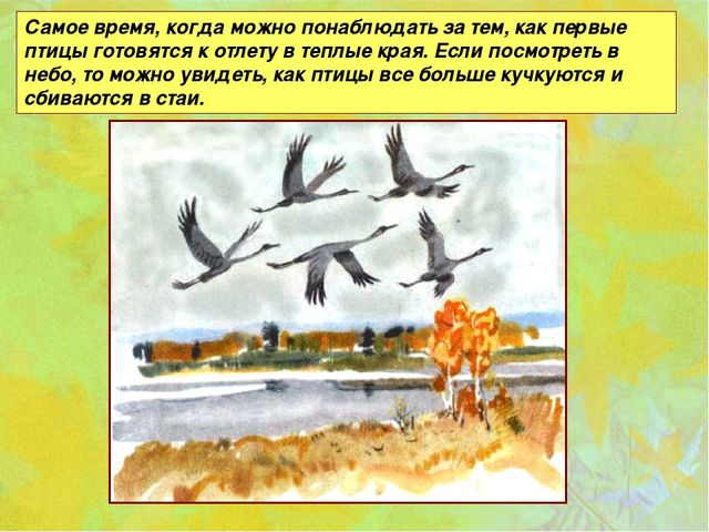 Презентация "Осень" для средней группы