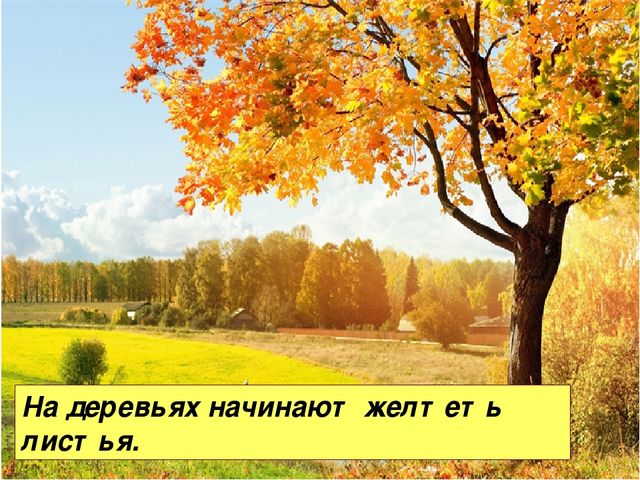 Презентация "Осень" для средней группы