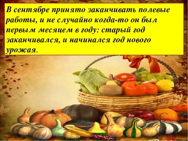 Презентация "Осень" для средней группы