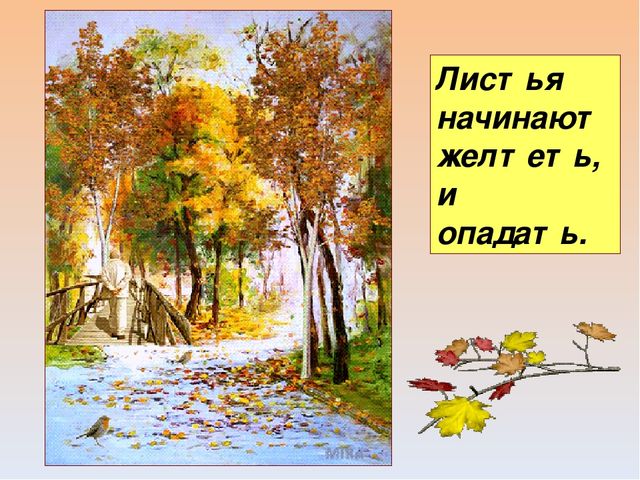 Презентация "Осень" для средней группы