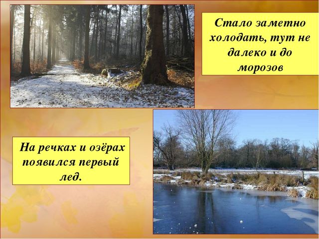 Презентация "Осень" для средней группы