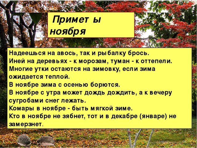 Презентация "Осень" для средней группы