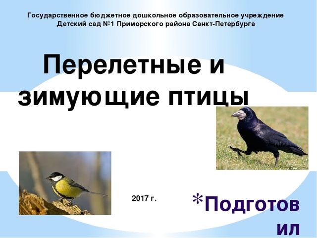 Презентация "Перелетные и зимующие птицы" ср.гр