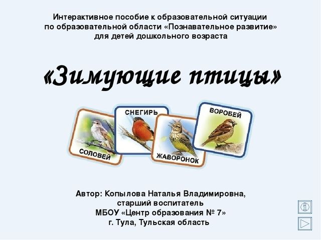 Интерактивное пособие к образовательной ситуации "Зимующие птицы" для детей старшего дошкольного возраста