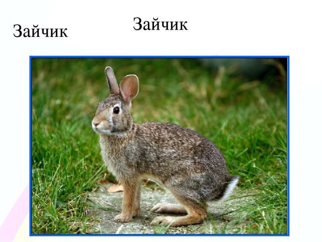 Игровой проект «В гости к нам пришел Зайчишка, длинноухий шалунишка...» для детей 2-3 лет