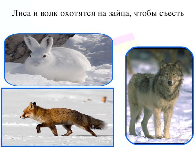 Игровой проект «В гости к нам пришел Зайчишка, длинноухий шалунишка...» для детей 2-3 лет
