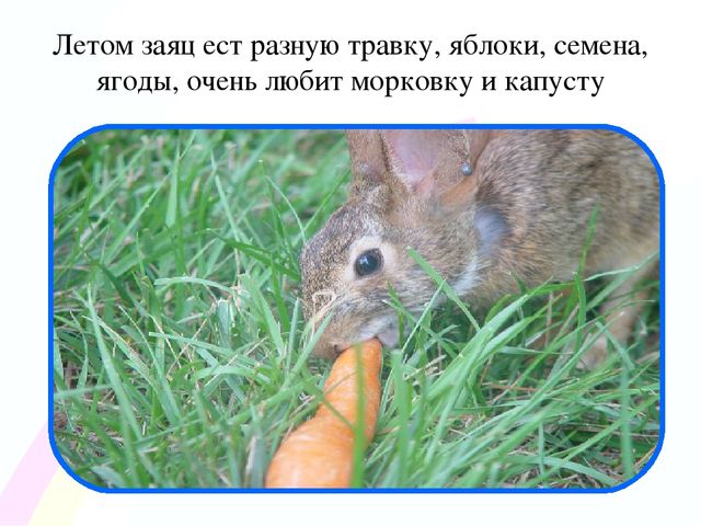 Игровой проект «В гости к нам пришел Зайчишка, длинноухий шалунишка...» для детей 2-3 лет