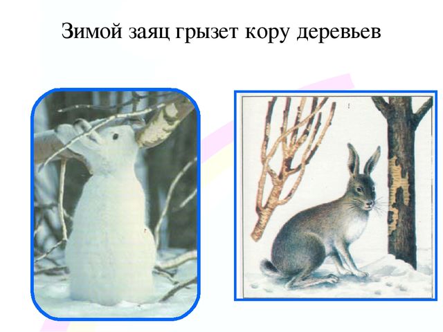 Игровой проект «В гости к нам пришел Зайчишка, длинноухий шалунишка...» для детей 2-3 лет