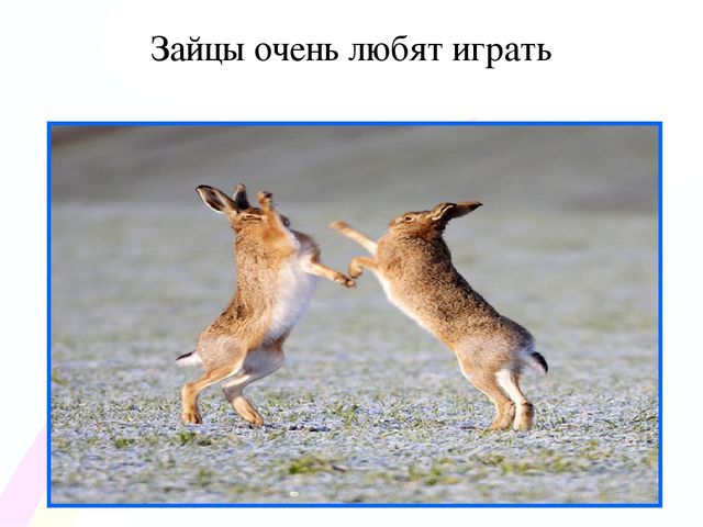 Игровой проект «В гости к нам пришел Зайчишка, длинноухий шалунишка...» для детей 2-3 лет