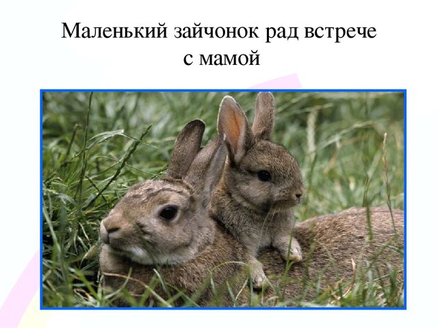 Игровой проект «В гости к нам пришел Зайчишка, длинноухий шалунишка...» для детей 2-3 лет