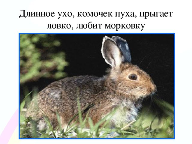 Игровой проект «В гости к нам пришел Зайчишка, длинноухий шалунишка...» для детей 2-3 лет
