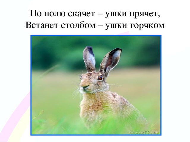 Игровой проект «В гости к нам пришел Зайчишка, длинноухий шалунишка...» для детей 2-3 лет