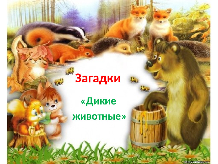 Презентация "Загадки. Дикие животные."