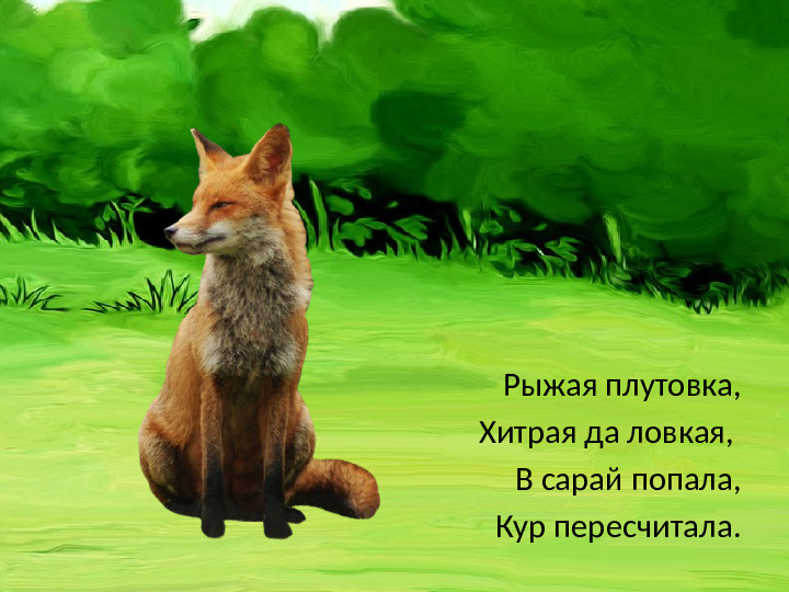 Презентация "Загадки. Дикие животные."