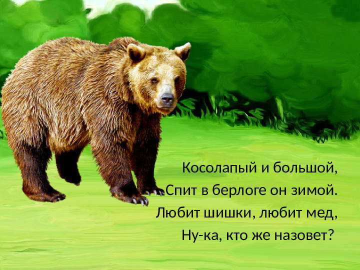 Презентация "Загадки. Дикие животные."
