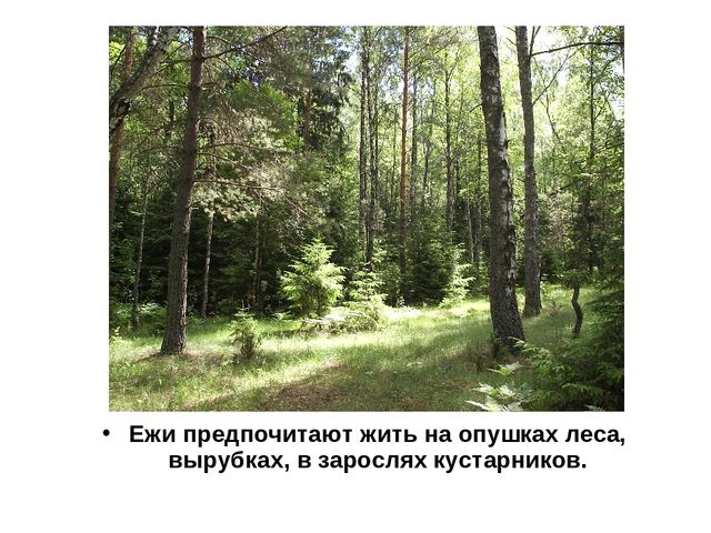 Презентация "Обитатели Вологодской области"