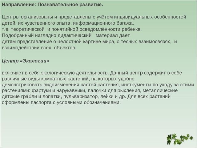 Презентация "Особенности развивающей среды в дошкольном учреждении"