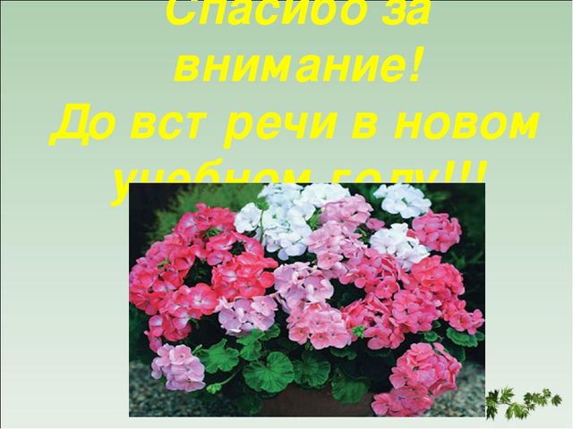 Презентация "Особенности развивающей среды в дошкольном учреждении"