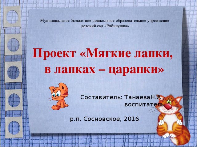 Презентация проекта для 2 младшей группы "Мягкие лапки, а в лапках - царапки"