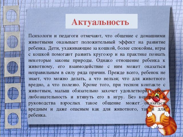 Презентация проекта для 2 младшей группы "Мягкие лапки, а в лапках - царапки"