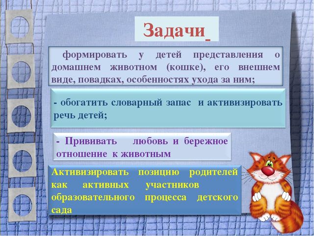 Презентация проекта для 2 младшей группы "Мягкие лапки, а в лапках - царапки"