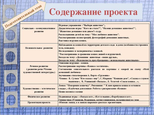 Презентация проекта для 2 младшей группы "Мягкие лапки, а в лапках - царапки"